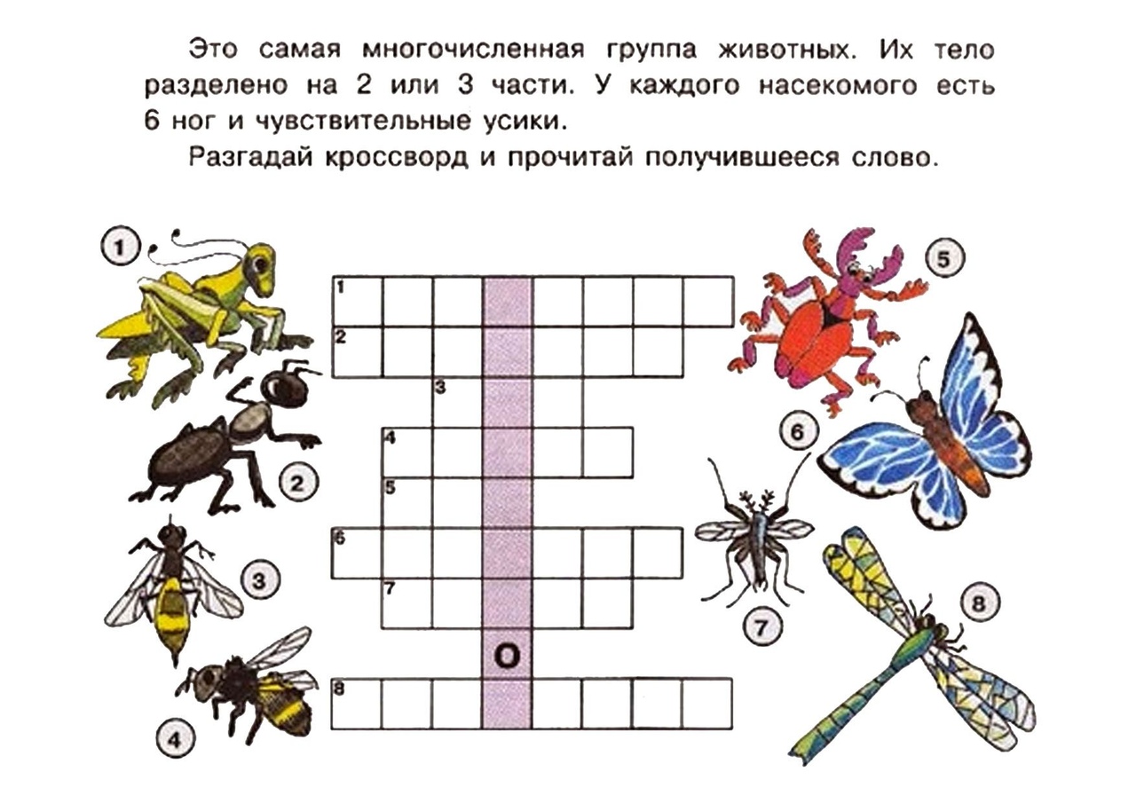 Эко – клуб “Лесовичок” Насекомые. - Библиотека им. А. Л. Барто